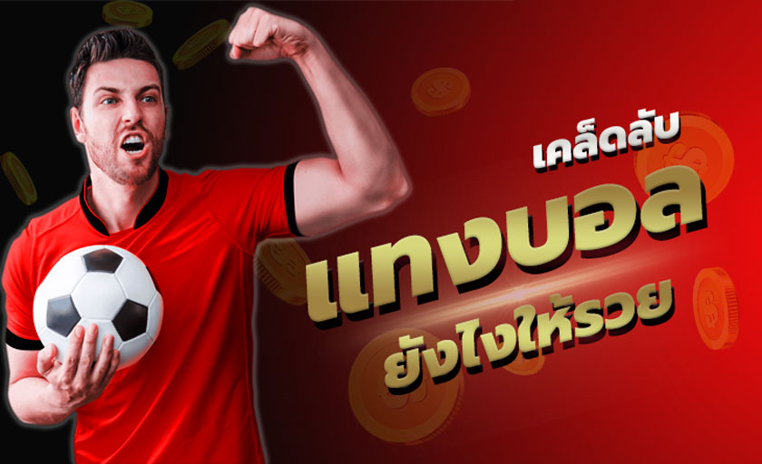เว็บบอล2024